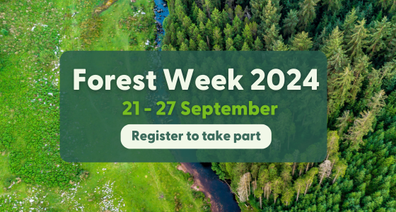 Forest Matters Join us forest week 2024